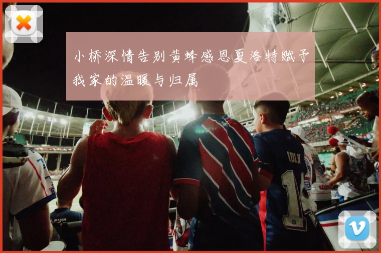 小桥深情告别黄蜂感恩夏洛特赋予我家的温暖与归属