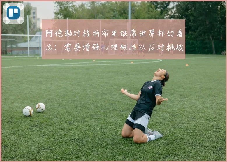阿德勒对格纳布里缺席世界杯的看法：需要增强心理韧性以应对挑战